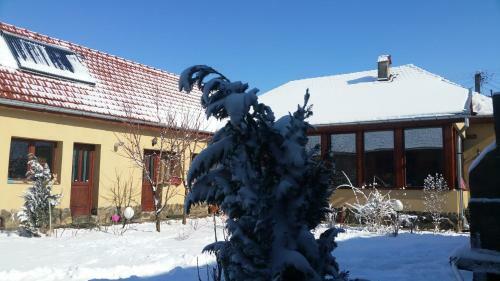 Hostal Pensiunea Ana-dragusana