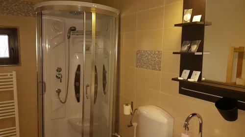 Hostal Pensiunea Casa Runcu Buzau