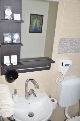 Hostal Pensiunea Casa Runcu Buzau