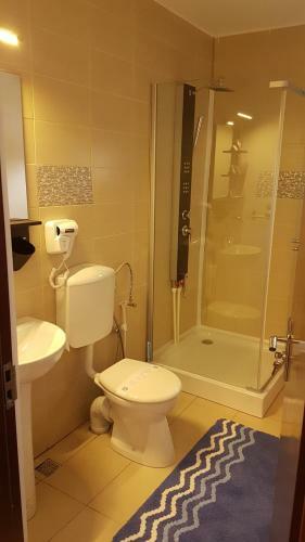 Hostal Pensiunea Casa Runcu Buzau