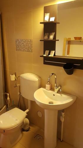 Hostal Pensiunea Casa Runcu Buzau