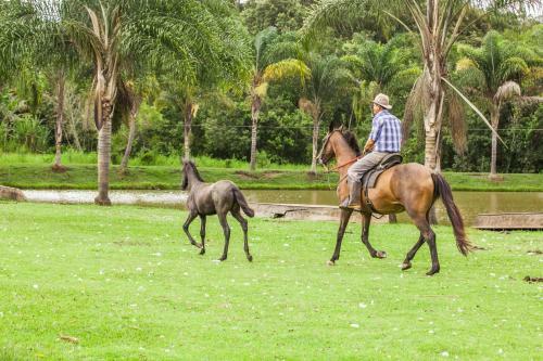 Hotel Fazenda Igarap�s