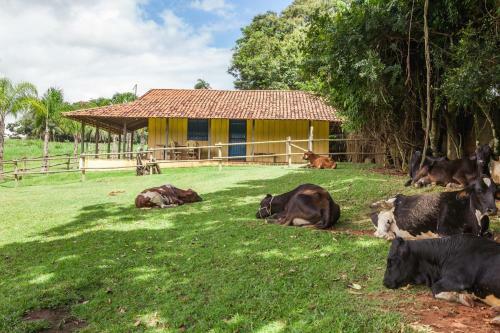 Hotel Fazenda Igarap�s