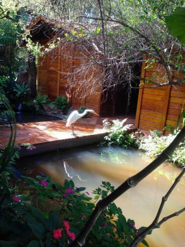Hotel Fazenda Igarap�s