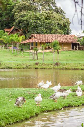 Hotel Fazenda Igarap�s