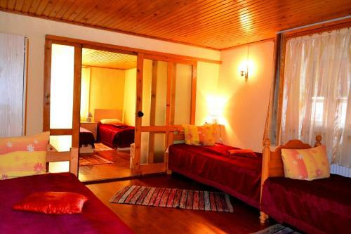 Hostal Pensiunea Diana
