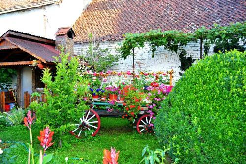 Hostal Pensiunea Diana