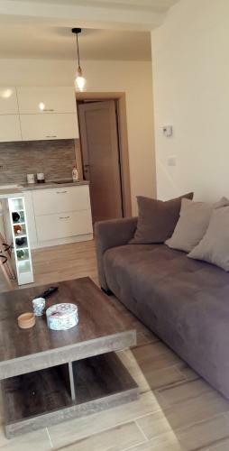 Apartamento Zlatibor Wood