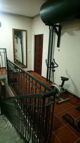 Apartamentos Bolonja