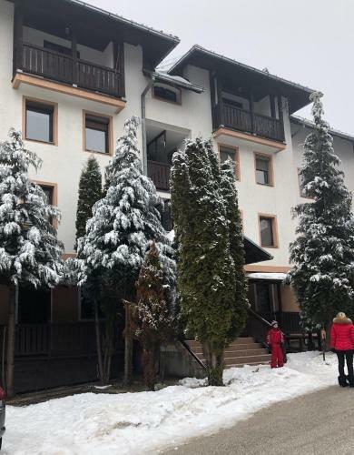 Zlatibor Apartman Vladovic