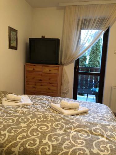 Zlatibor Apartman Vladovic