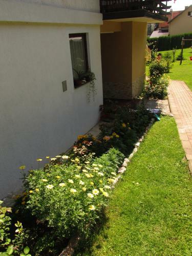 Apartments Bojana