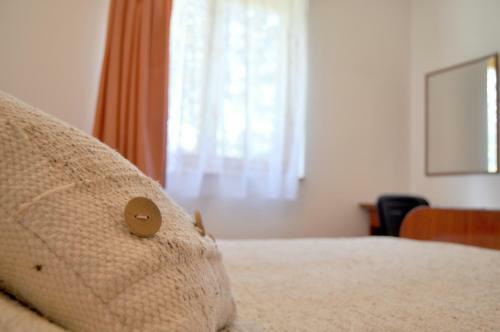 Apartment Evropa