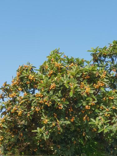 Hostal Usadba Panteleya Guest House