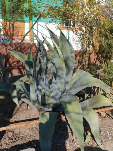 Hostal Usadba Panteleya Guest House