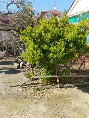 Hostal Usadba Panteleya Guest House