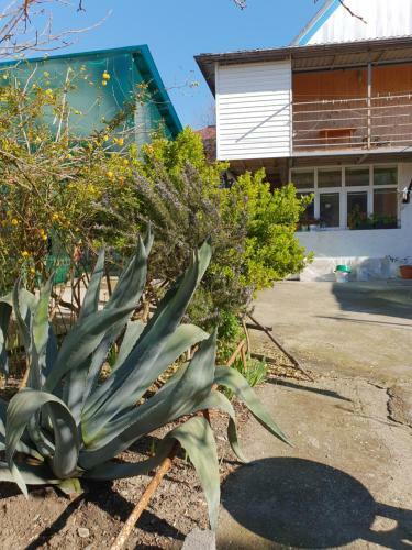 Hostal Usadba Panteleya Guest House