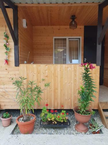 Hostal Usadba Panteleya Guest House