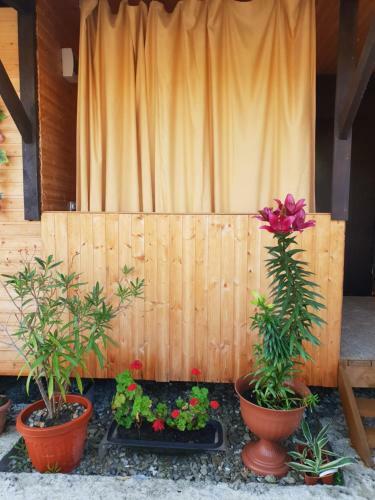 Hostal Usadba Panteleya Guest House