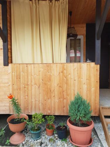 Hostal Usadba Panteleya Guest House