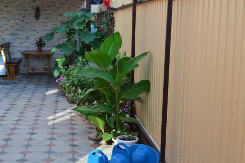 Hostal Guest House Vera