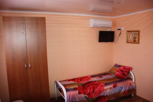 Hostal Guest House Viktoria House