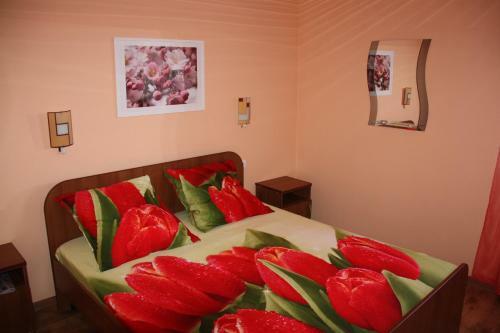 Hostal Guest House Viktoria House