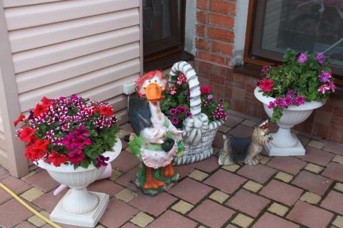 Hostal Guest House Viktoria House