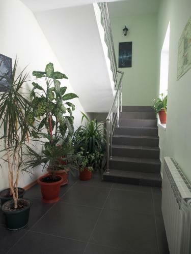 Hostal Yuzhny Platan