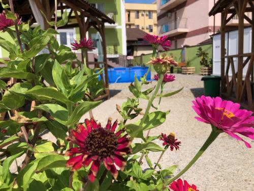 Apartamenty Na Pogranichnoy 4