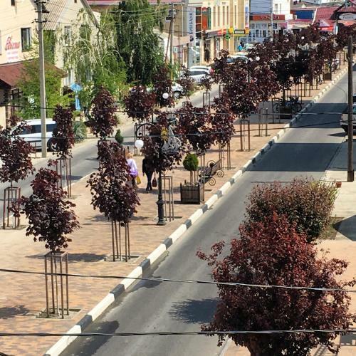 Hostal Guest House Maria