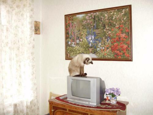 Hostal Miliy Dom Y Petropavlovki