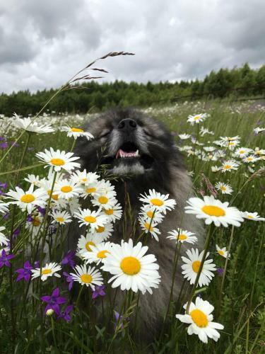 Hostal House Near The Lake
