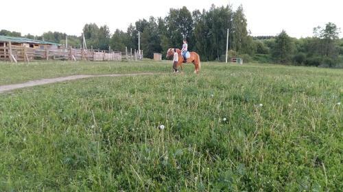 Agroturismo Farm Stay