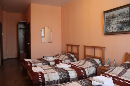 Hotel Volkhov Most