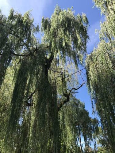 Hostal Guest House Tomichka