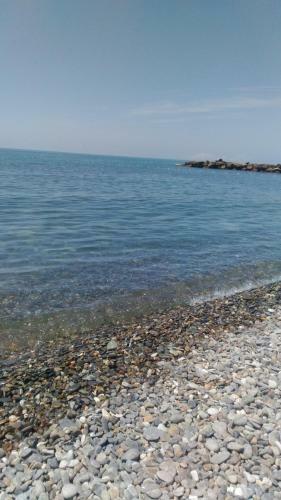 Hostal Guest House Tomichka