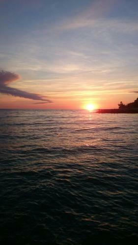 Hostal Guest House Tomichka