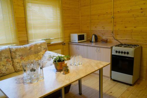 Posada Ramanov Plyos Guest House