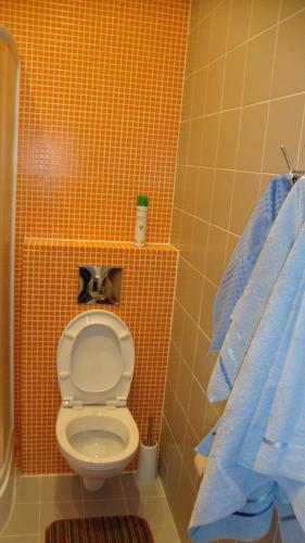 Hotel Shatura