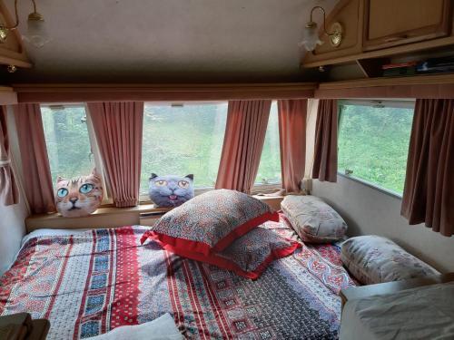 Hostal Guest House Eco-residency Troiza