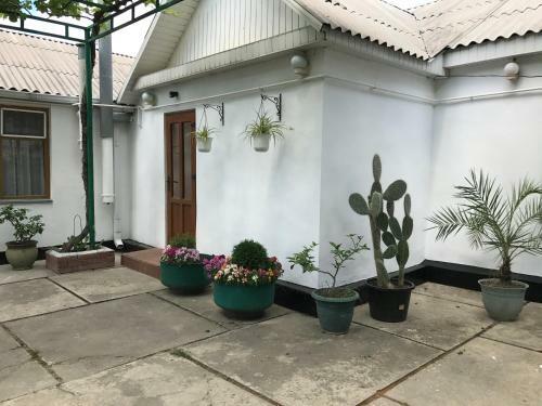 Hostal Guest House In Anapa