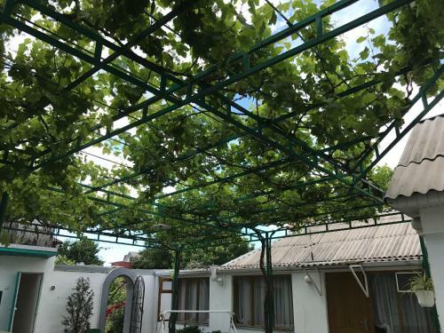 Hostal Guest House In Anapa