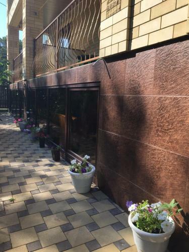 Hostal Guest House Nikita