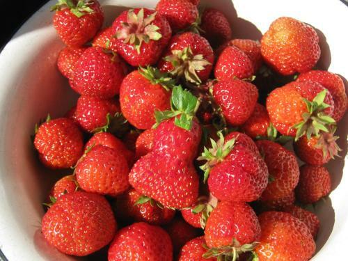 Agroturismo Dom Na Beregu Ozera