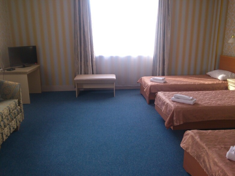 Bort-hotel Vnukovo