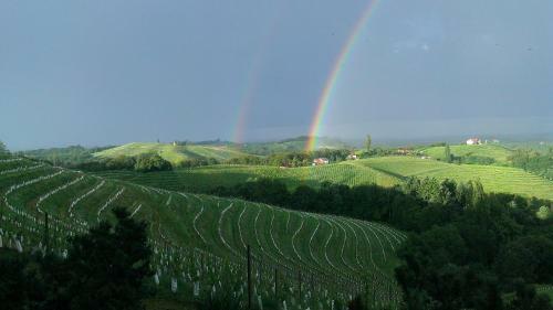 Albergue Rooms Vila Jurka