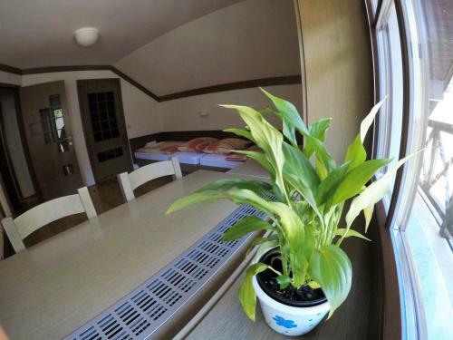 Bed & Breakfast Karami Mountainhouse