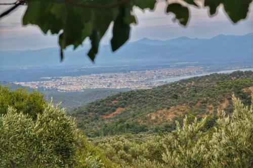 Apartamento Kaz Da?lar? Albatross Da? Evleri