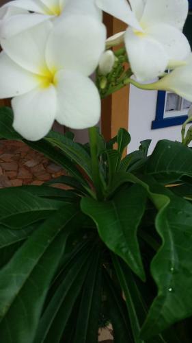 Hostal Pousada Esta��o Tiradentes